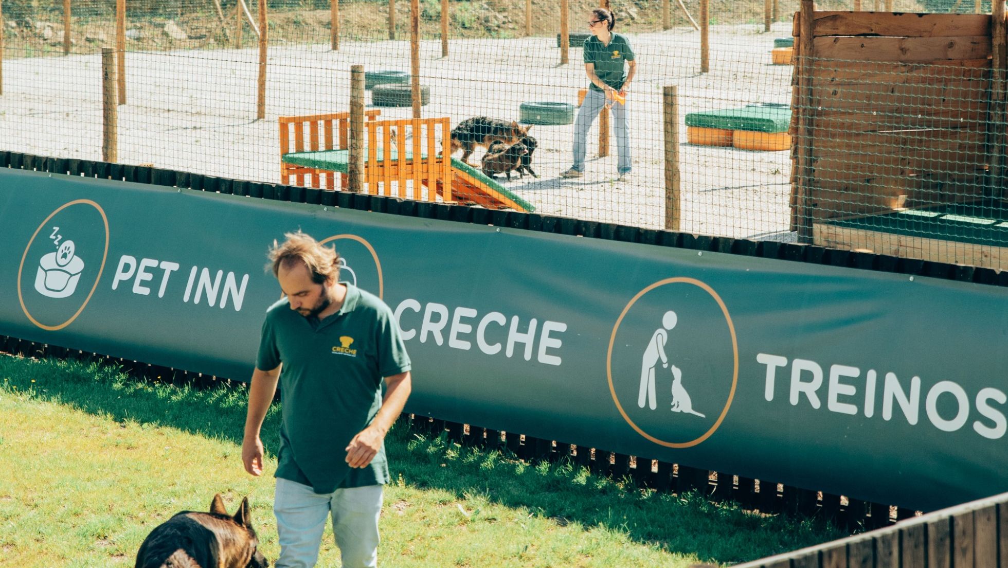 Treino para cães