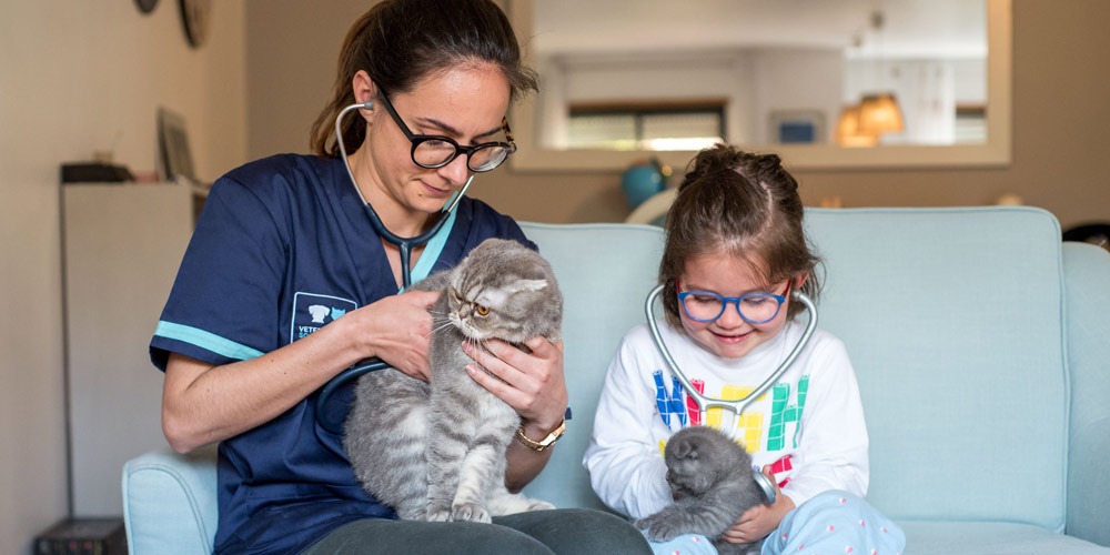 Consulta Veterinária ao domicílio 