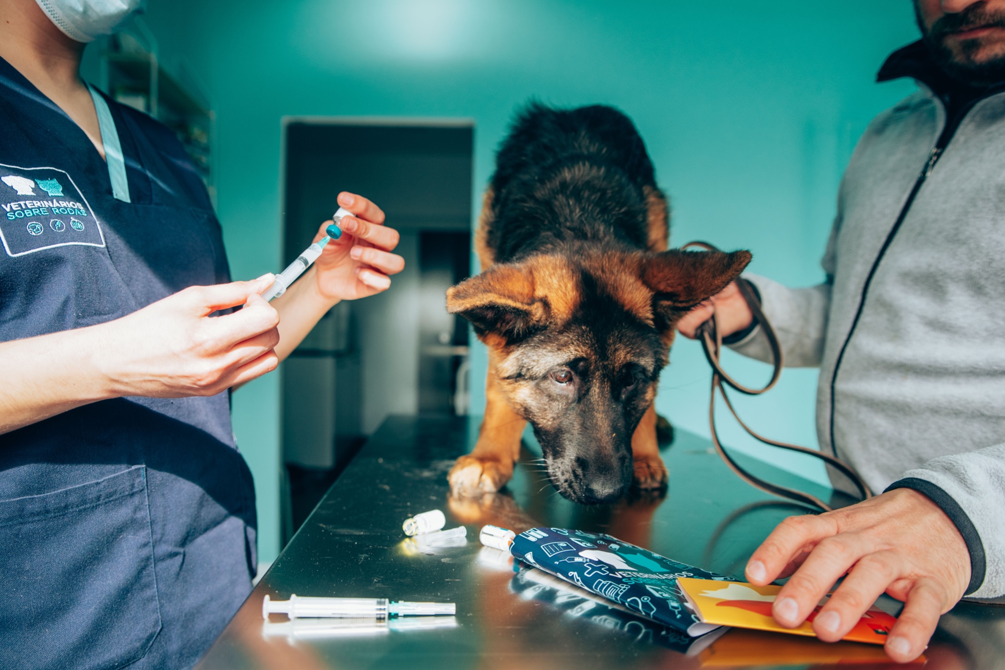 Consulta Veterinaria