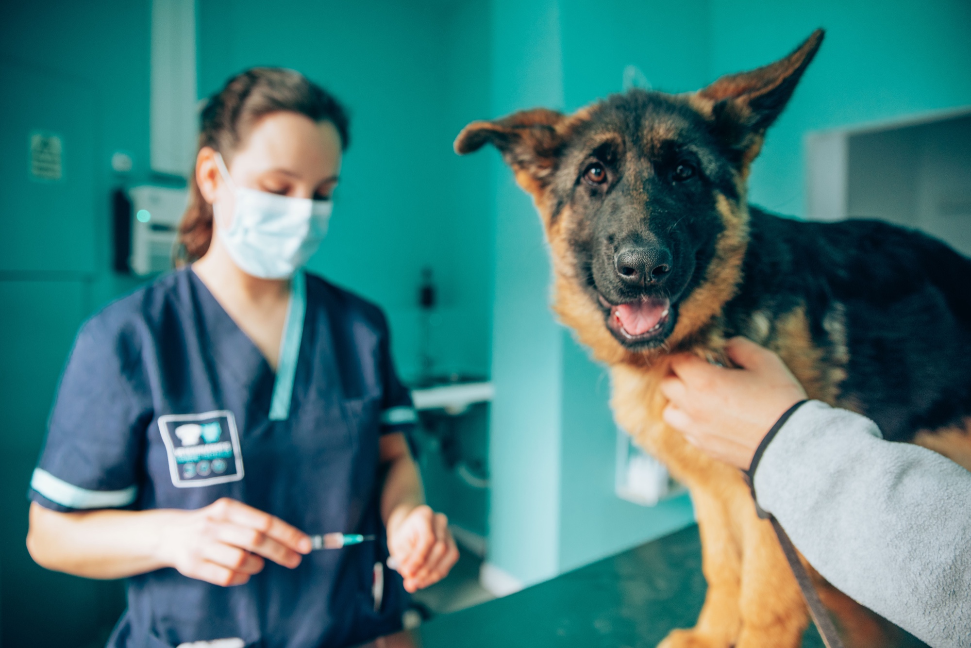 Veterinário Sintra Cascais