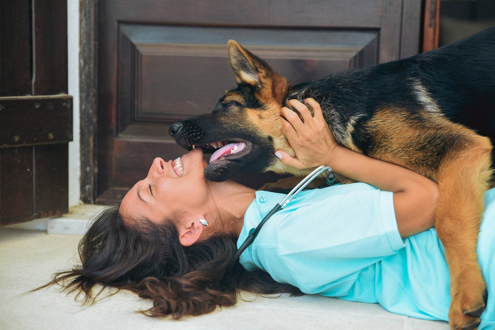 Certificado Veterinário