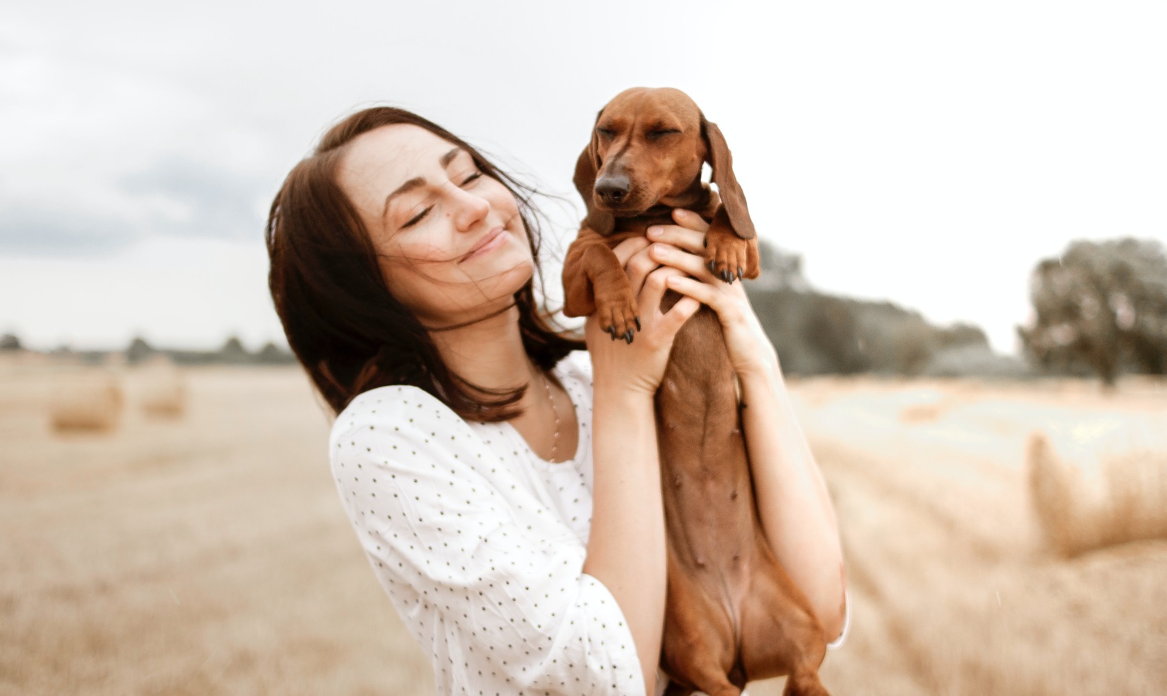 Ansiedade por separação em Animais