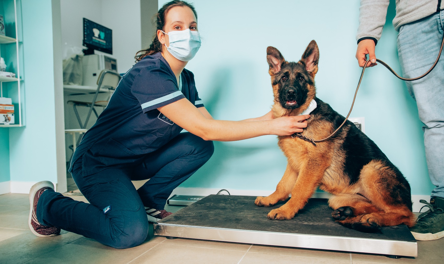 Quando devo ir com o meu animal ao veterinário?