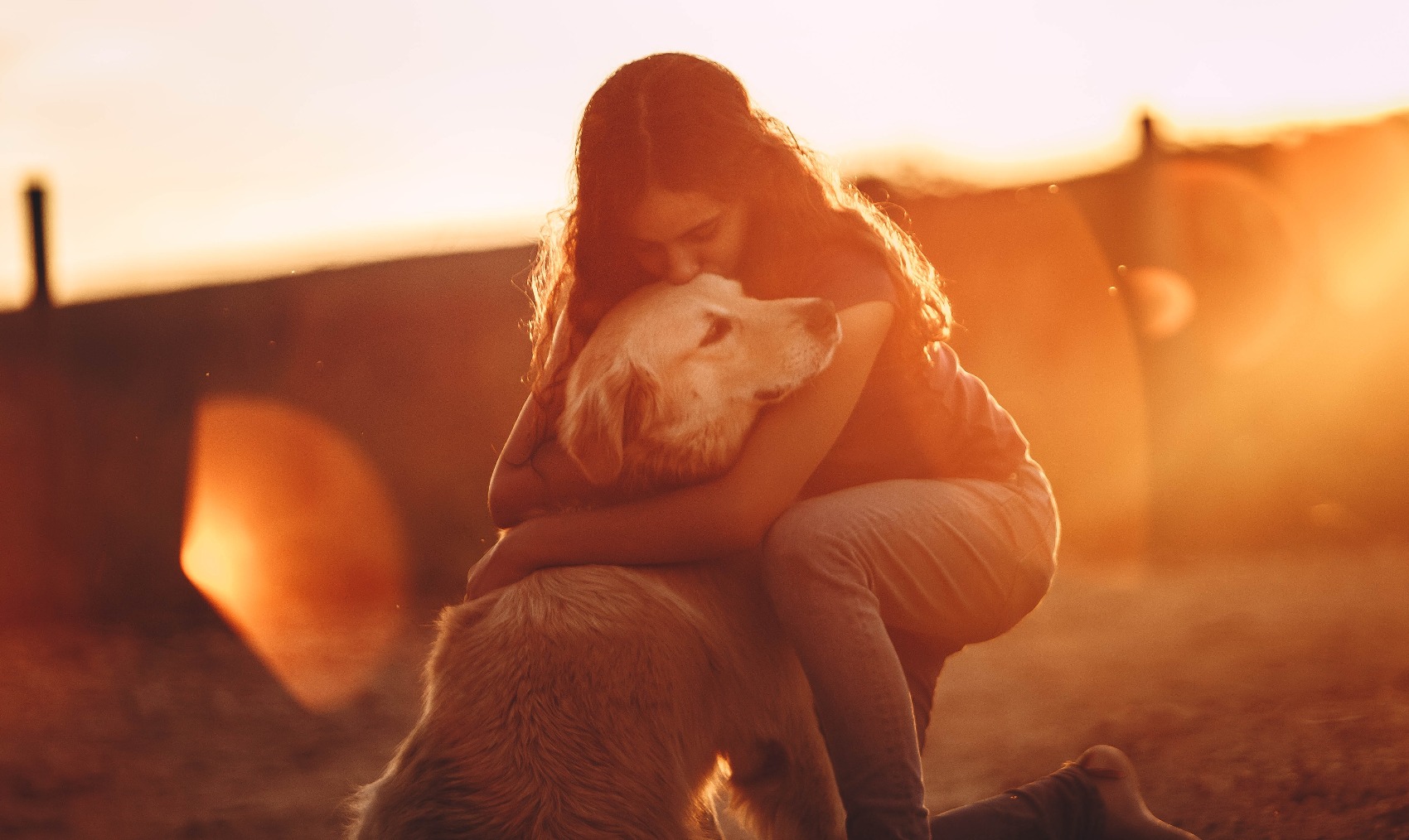 Cremação de animais de estimação e outros serviços fúnebres