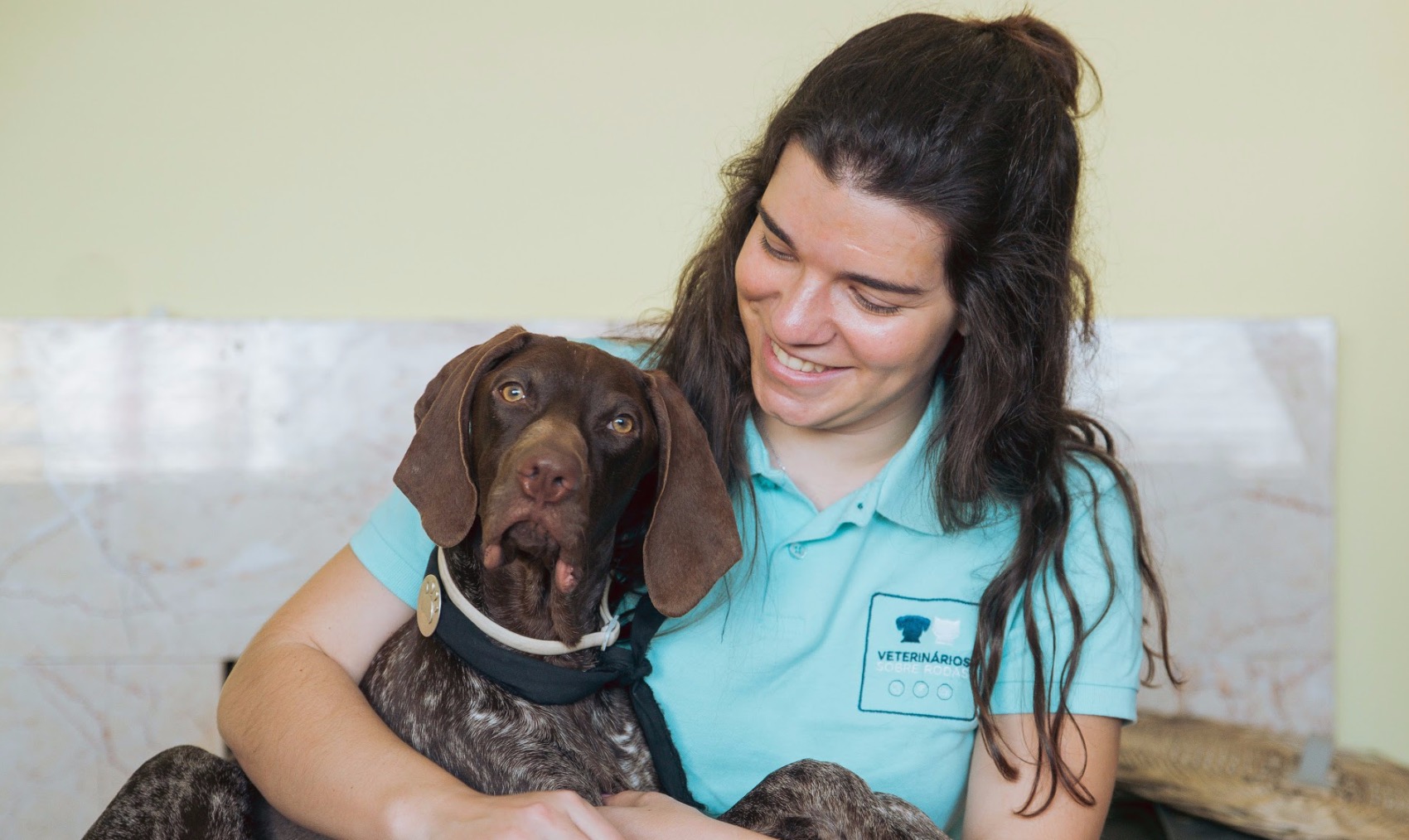 Quero adotar um cão, e agora?