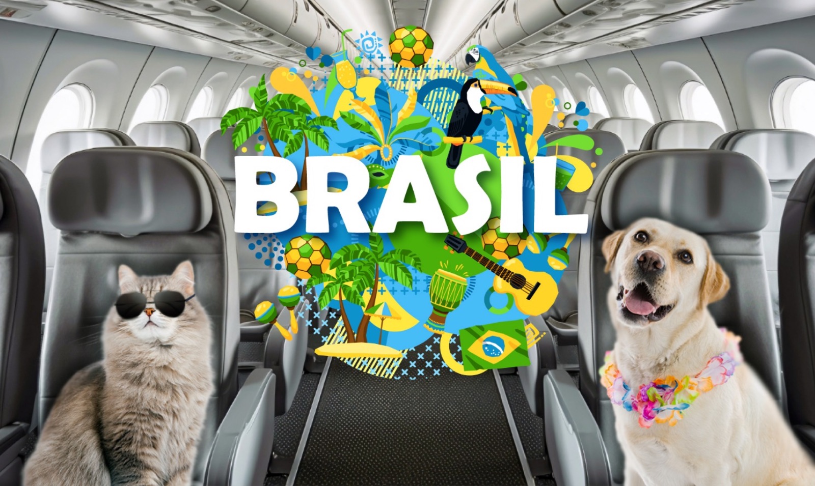 Viajar de Portugal para o Brasil com cães gatos