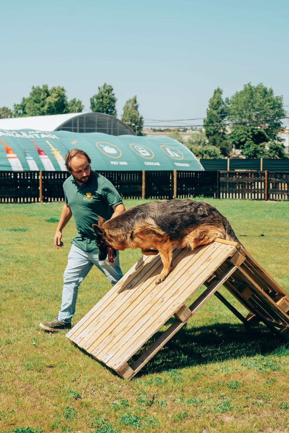 Comportamento Canino