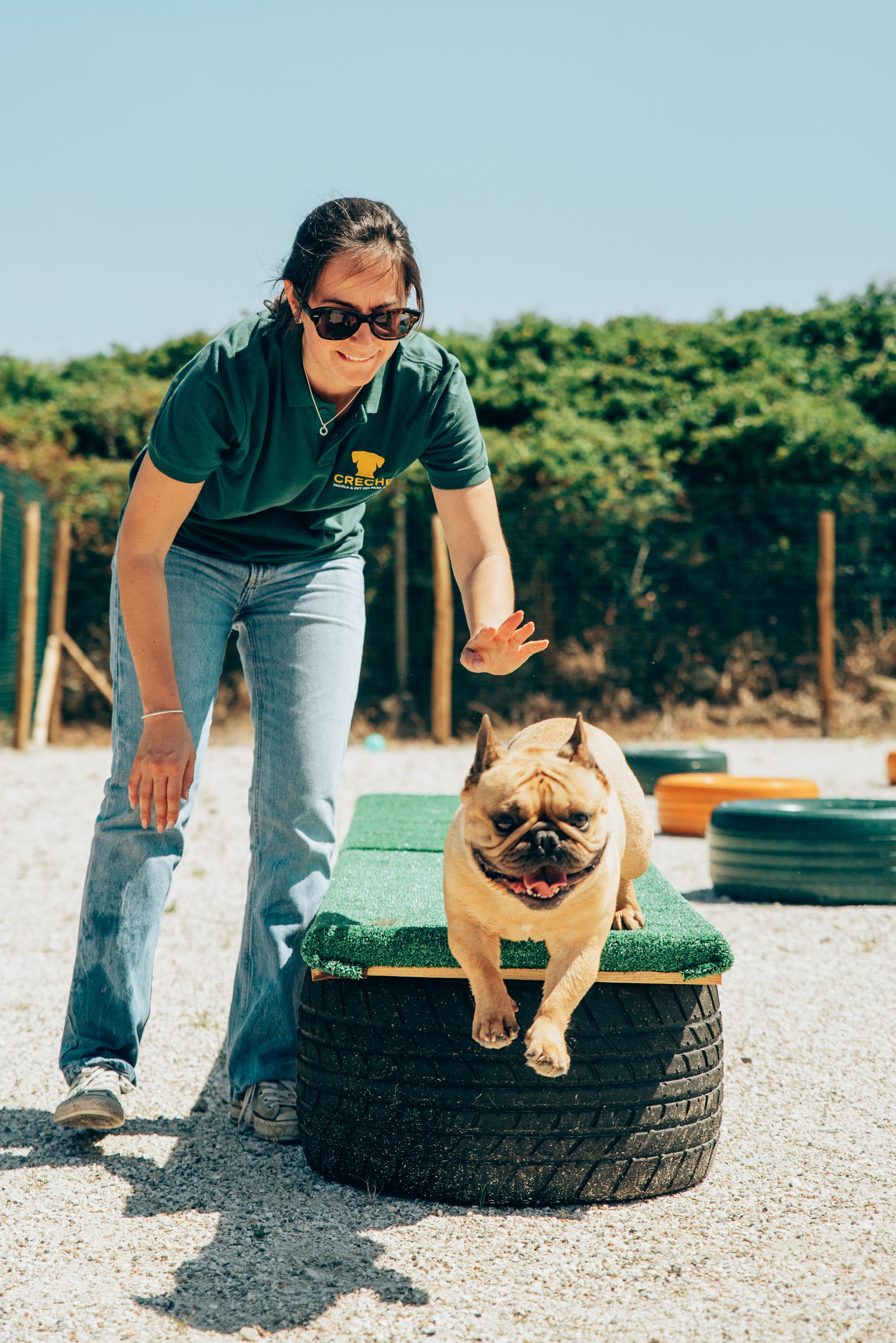 Creche para cães