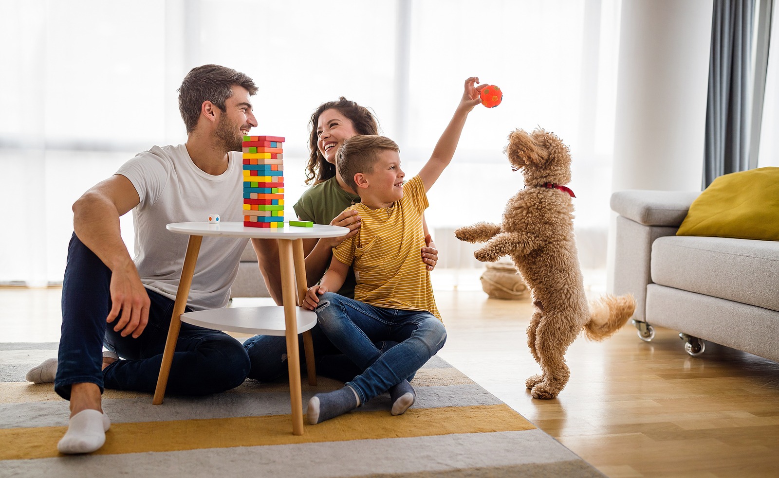 Quarentena com cães