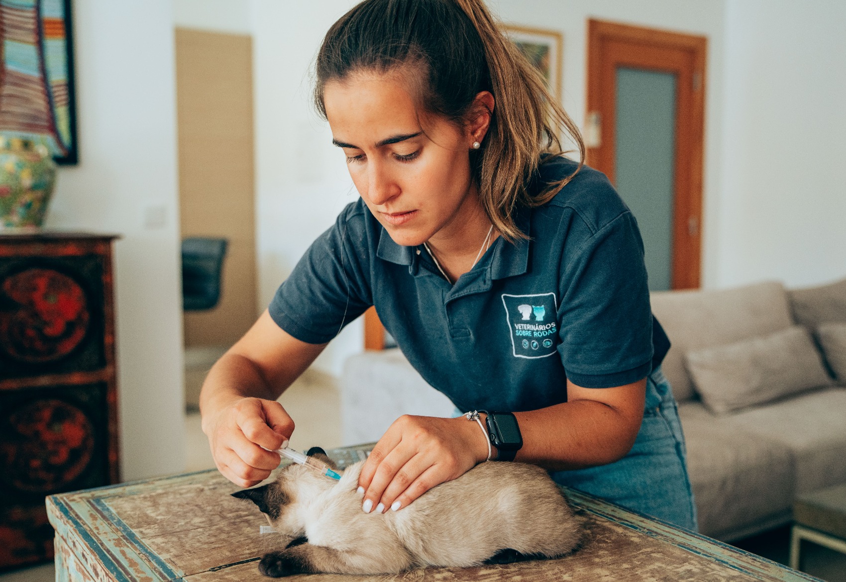 veterinária e gatinho a levar uma vacina