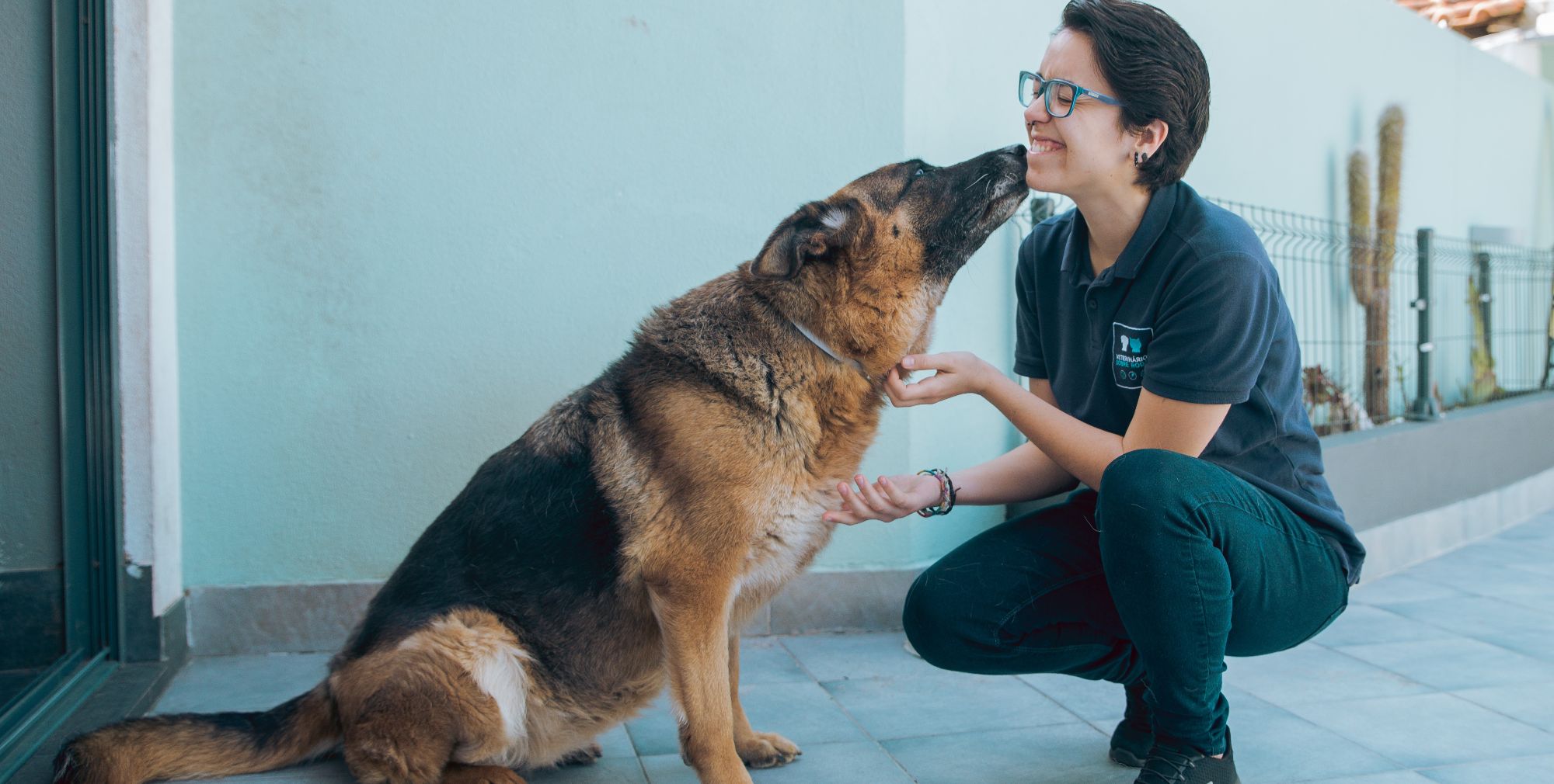 Veterinária ao domicílio